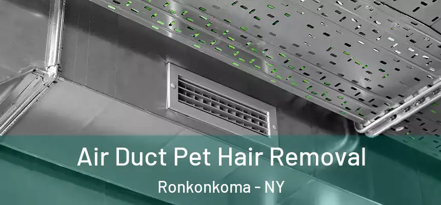  Air Duct Pet Hair Removal Ronkonkoma - NY