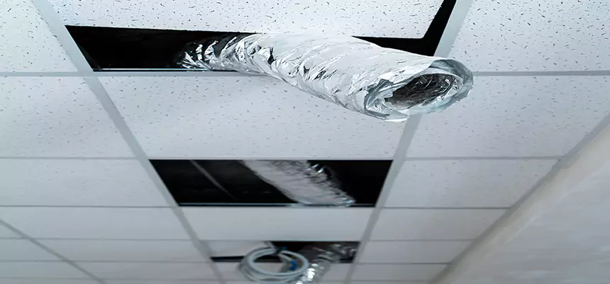 Our Air Duct Pet Hair Removal Services in Ronkonkoma, NY