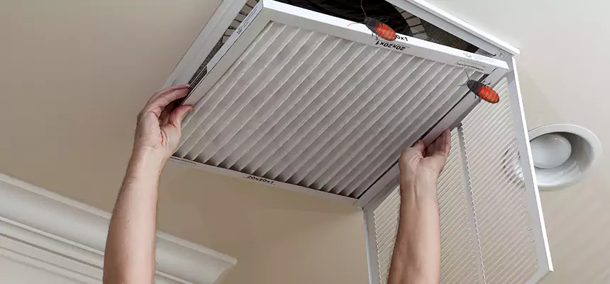 Our Insect Removal from Air Ducts Services in Ronkonkoma, NY
