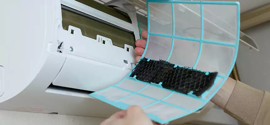 Gentle Ductwork Odor-Control Pet Dander Duct Cleaning in Ronkonkoma, NY