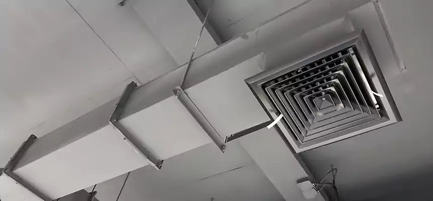 Our Rodent Droppings In Vents Services in Ronkonkoma, NY