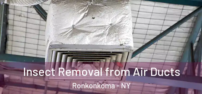  Insect Removal from Air Ducts Ronkonkoma - NY