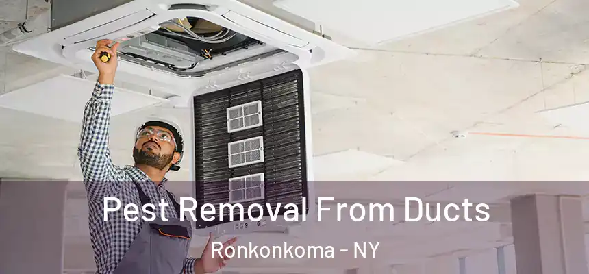  Pest Removal From Ducts Ronkonkoma - NY