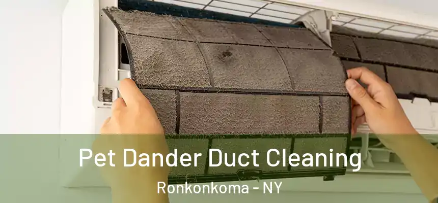 Pet Dander Duct Cleaning Ronkonkoma - NY