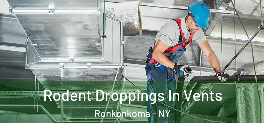  Rodent Droppings In Vents Ronkonkoma - NY