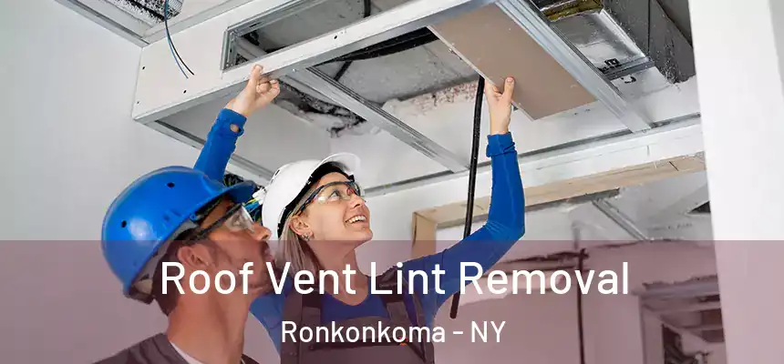  Roof Vent Lint Removal Ronkonkoma - NY