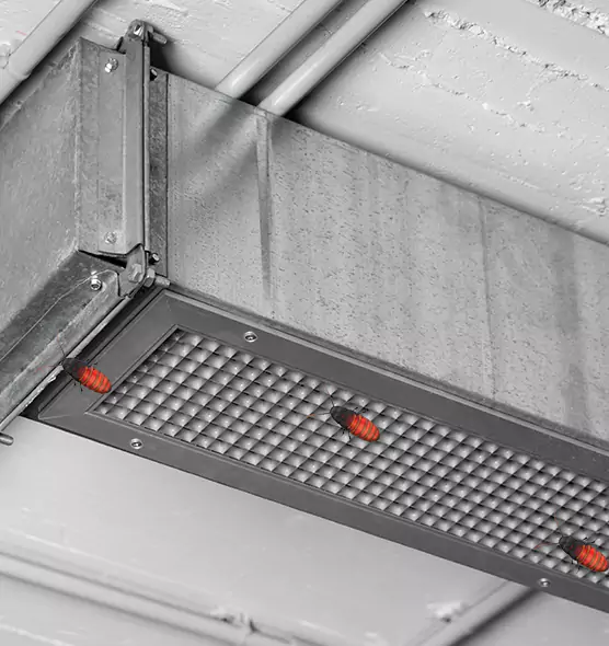 Affordable Insect Removal from Air Ducts in Ronkonkoma, NY