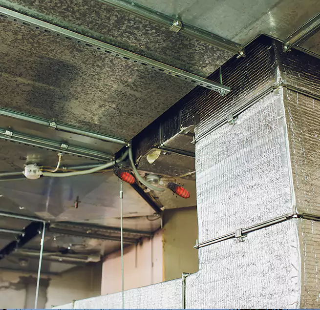 Why Homeowners & Businesses Trust Us in Ronkonkoma, NY?