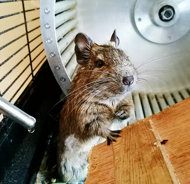 Why Homeowners & Businesses Trust Us Ronkonkoma, NY?