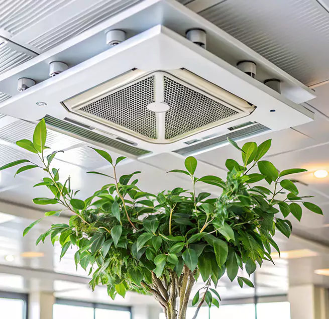 Why Homeowners & Businesses Trust Us in Ronkonkoma, NY